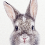 Child Exams | Tamas EyeCare