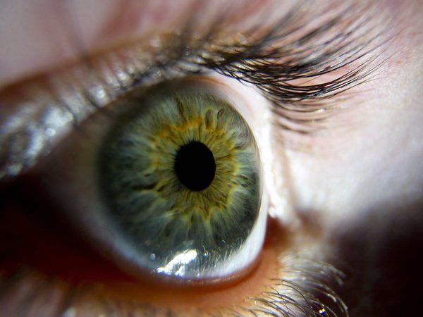 side_eye_stock_by_zpyder – Tamas EyeCare